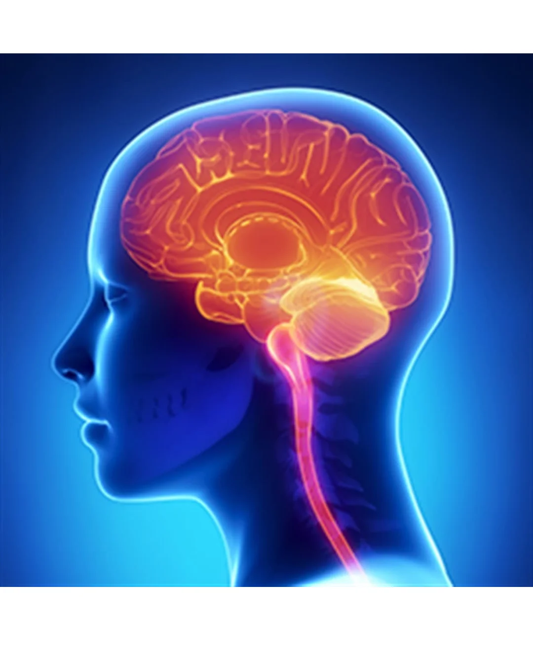 araçkullanmakvebeyin